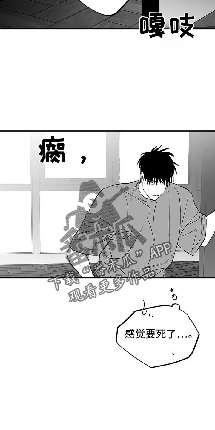 拳击手漫画吧漫画,第209章：【第三季】要死了9图
