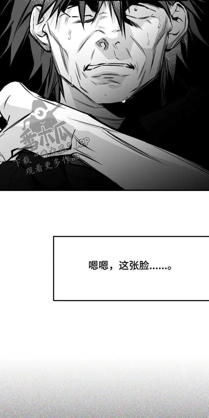拳击手漫画免费版在线观看漫画,第255章：【第三季】我们聊聊9图