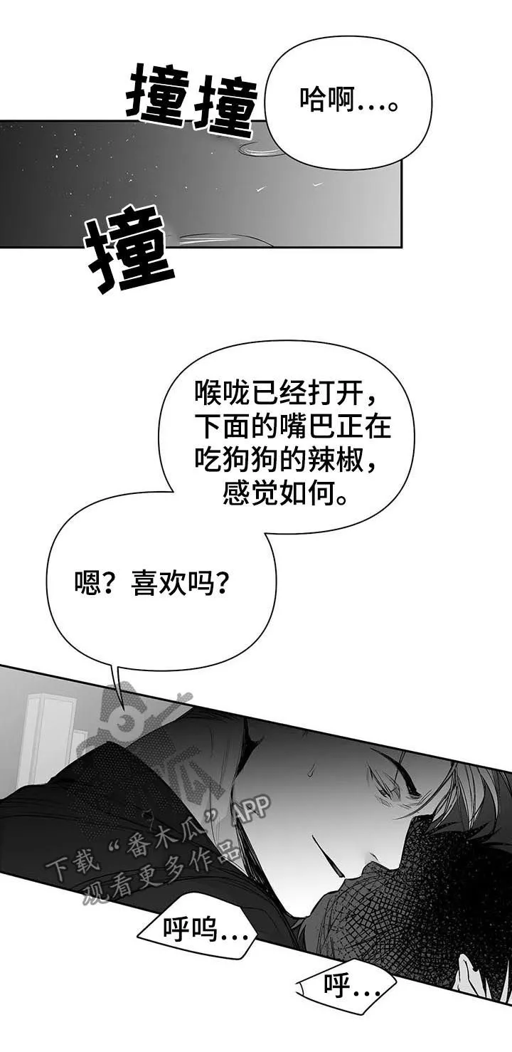 拳击手漫画漫画,第111章：【第二季】很贪心17图