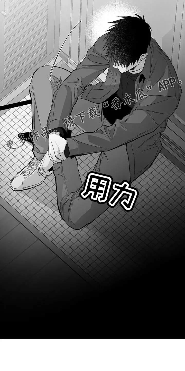 拳击手漫画卡西姆漫画,第212章：【第三季】条件是什么来着19图