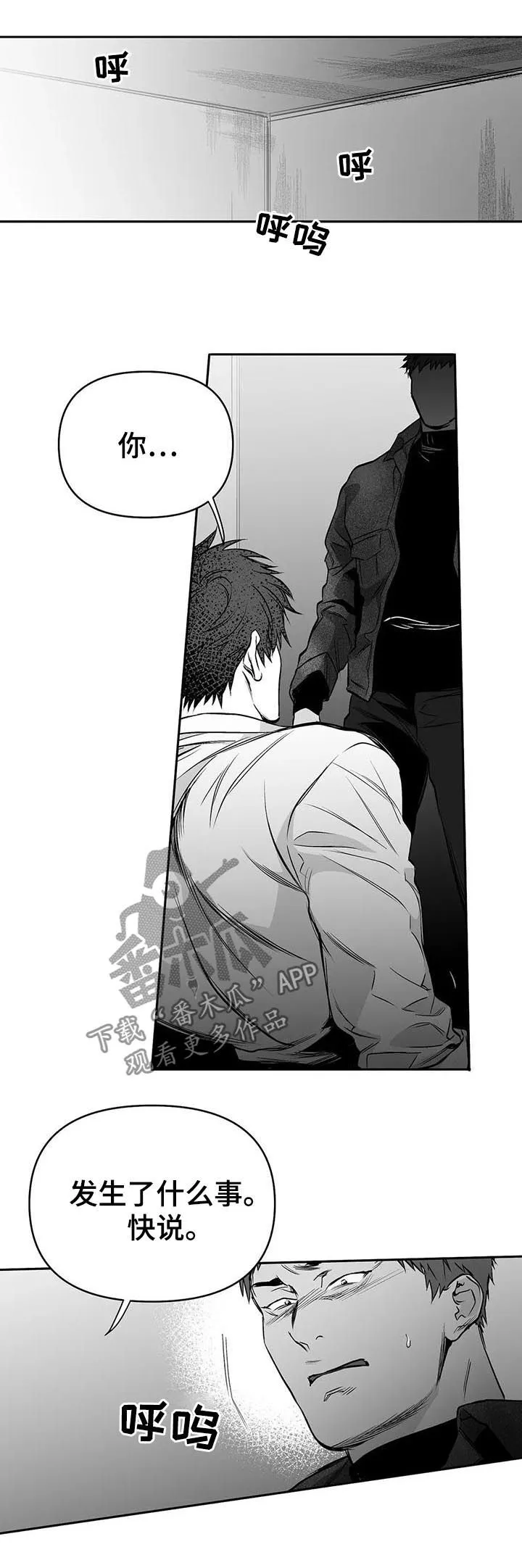 拳击手漫画免费阅读漫画,第84章：到底怎么回事12图