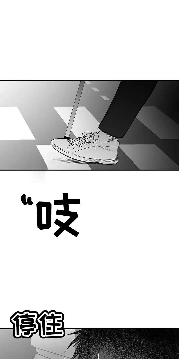 拳击手漫画图片漫画,第201章：【第三季】去散步35图
