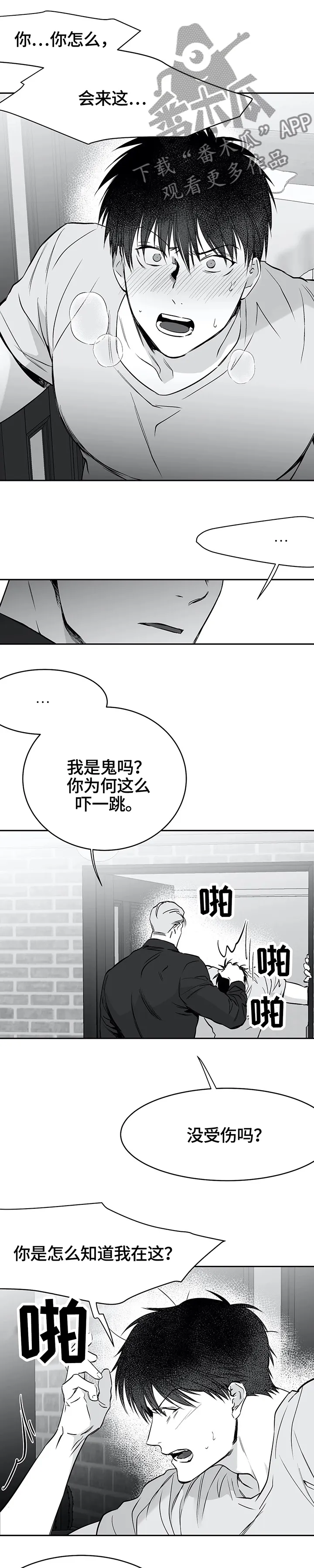 拳击手漫画全集免费阅读下拉式漫画,第54章：放心了1图