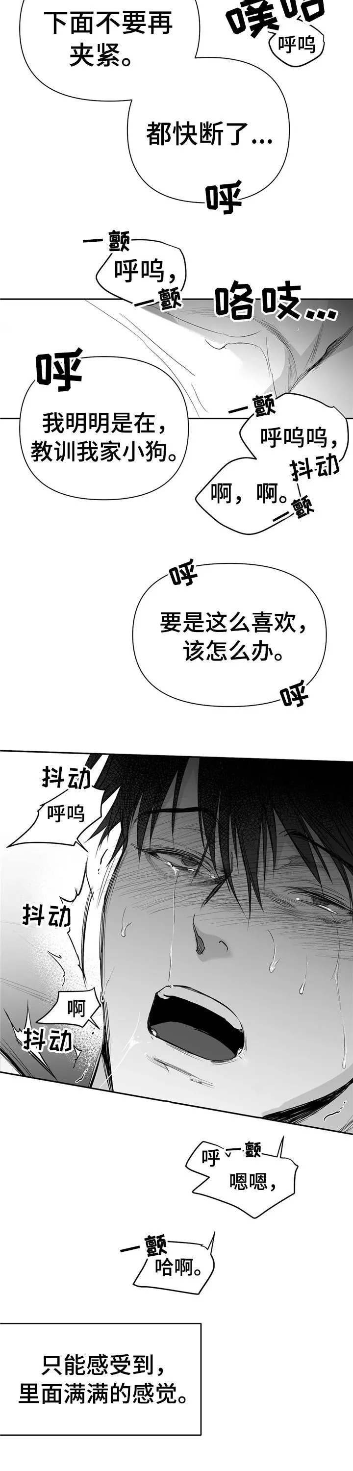 拳击手漫画全集免费阅读下拉式漫画,第102章：【第二季】你跟别人笑了5图