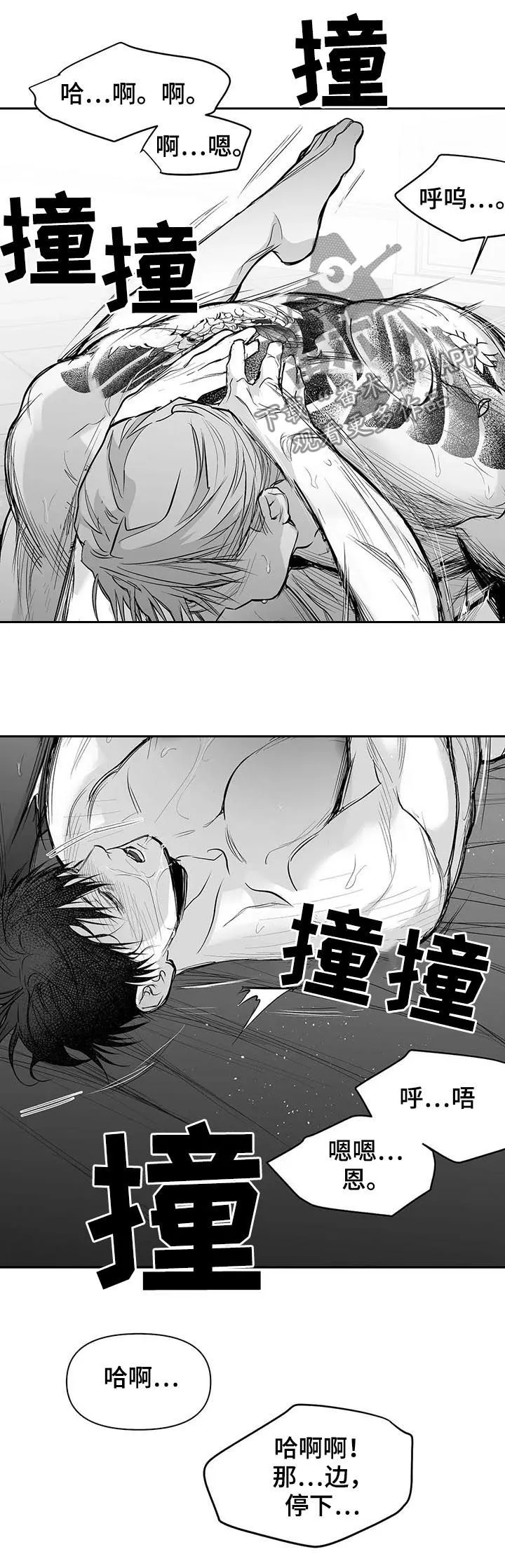 拳击手漫画全集免费阅读下拉式漫画,第112章：【第二季】很好奇14图