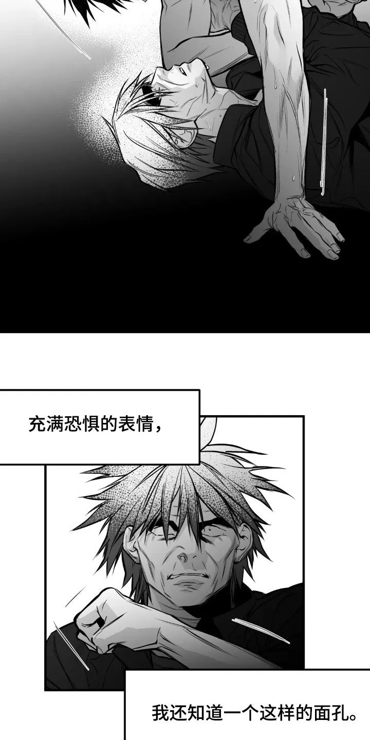 拳击手漫画免费版在线观看漫画,第255章：【第三季】我们聊聊3图