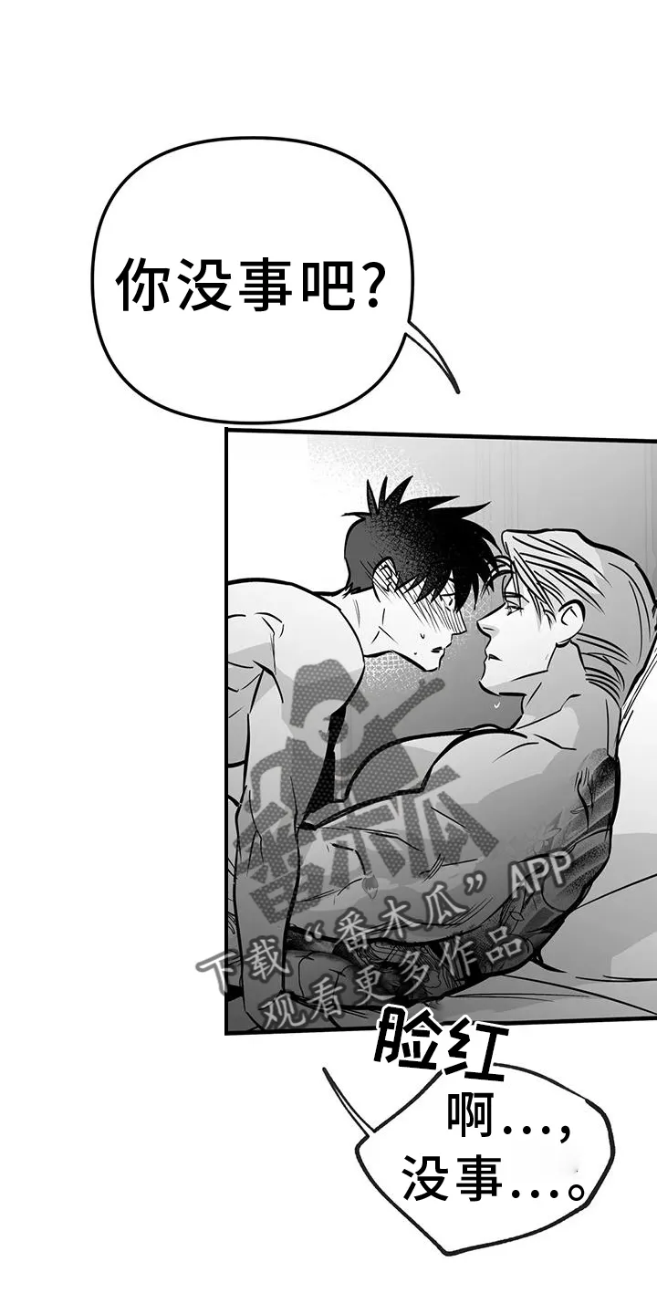 拳击手漫画漫画,第235章：【第三季】别动4图