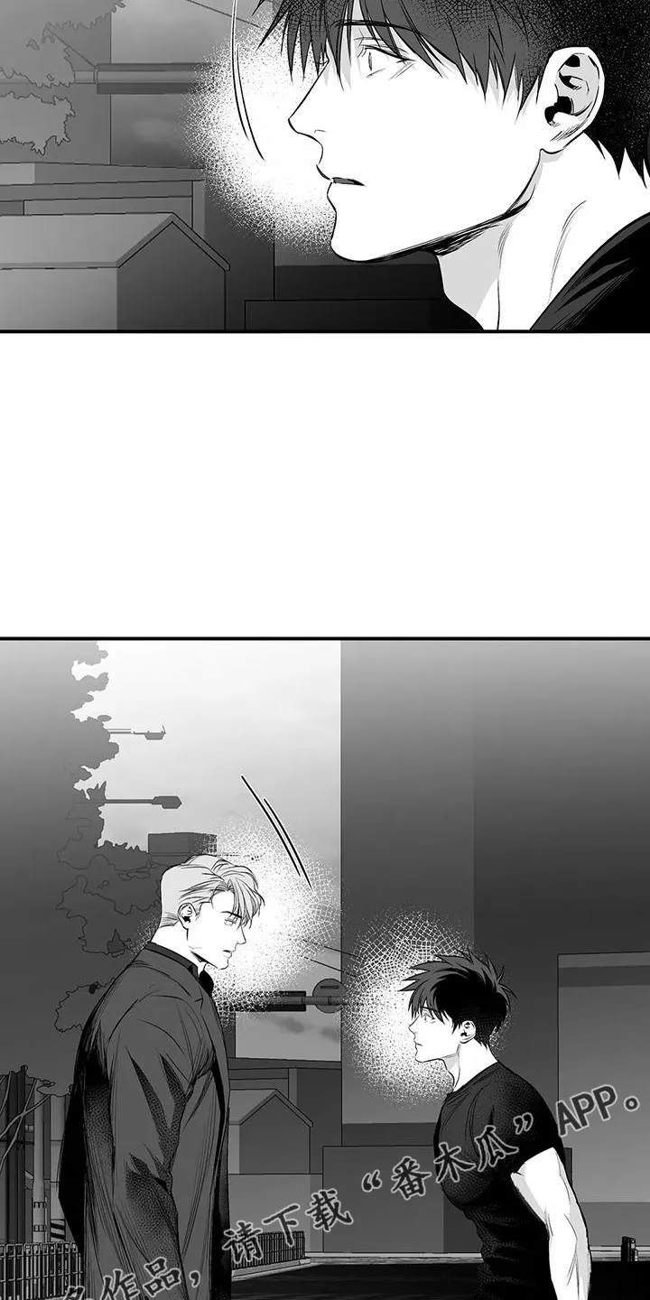 拳击手漫画图片漫画,第201章：【第三季】去散步36图