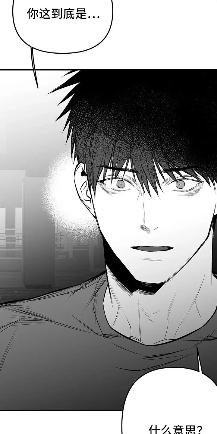 拳击手漫画漫画,第215章：【第三季】不像自己18图