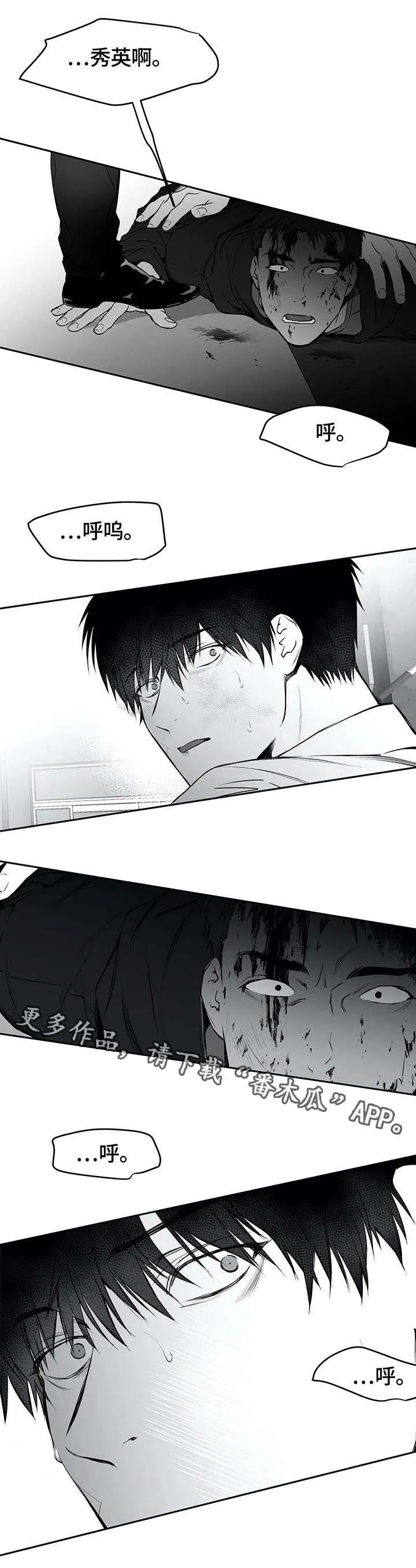 拳击手漫画免费漫画,第34章：抹去1图
