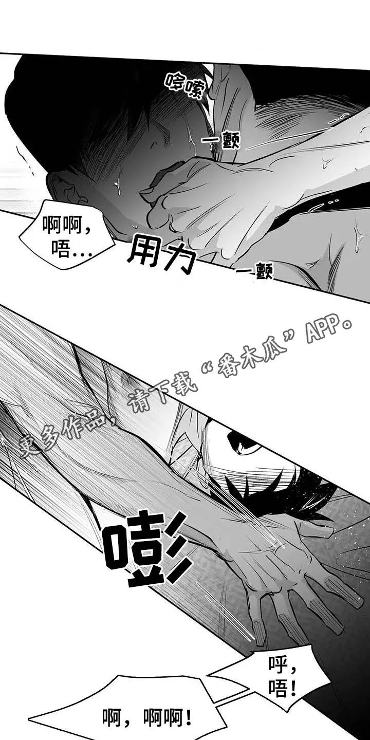 拳击手 漫画漫画,第150章：【第三季】跳楼威胁1图