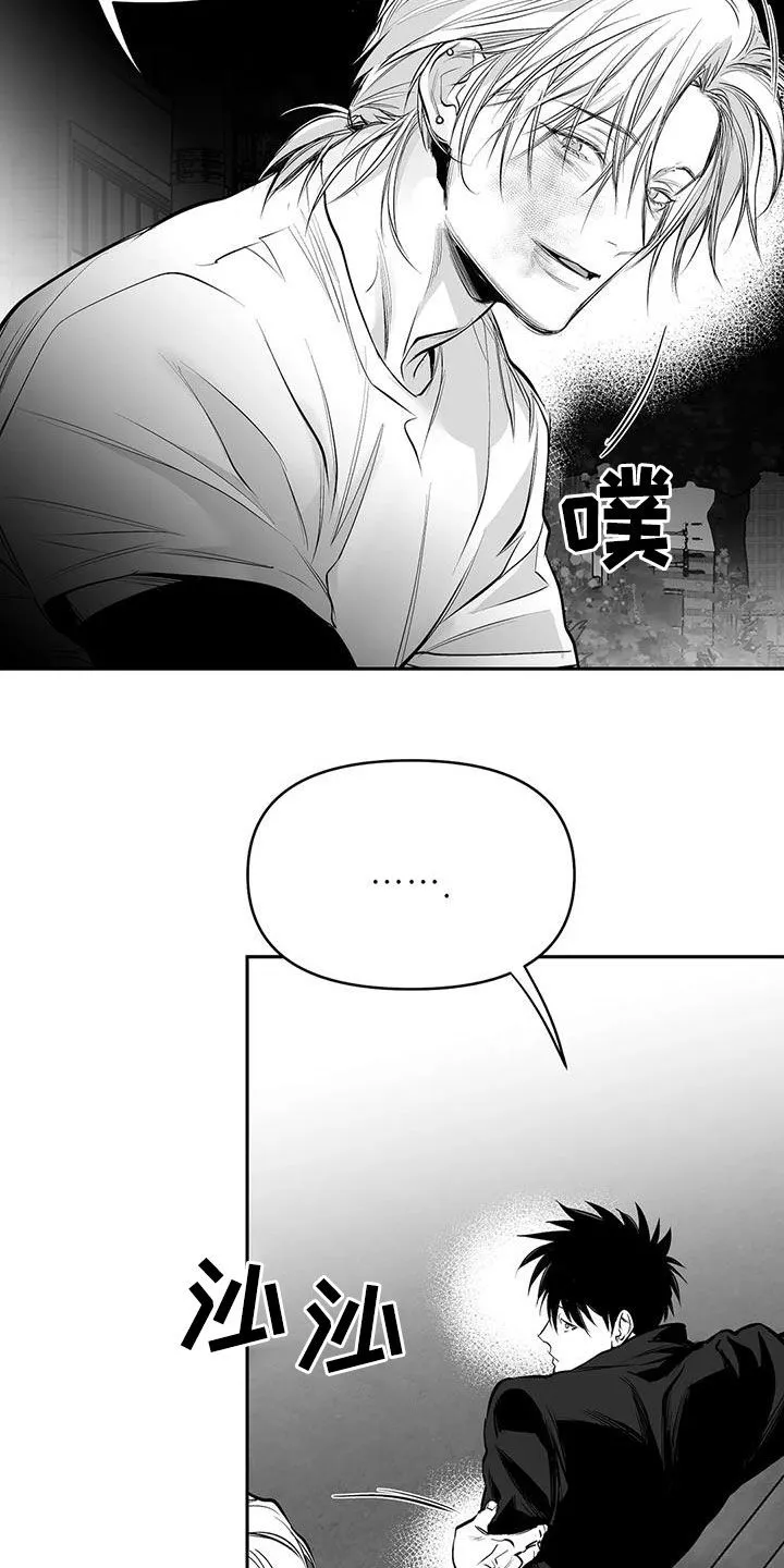 拳击手漫画免费jh漫画,第163章：【第三季】划清界限21图