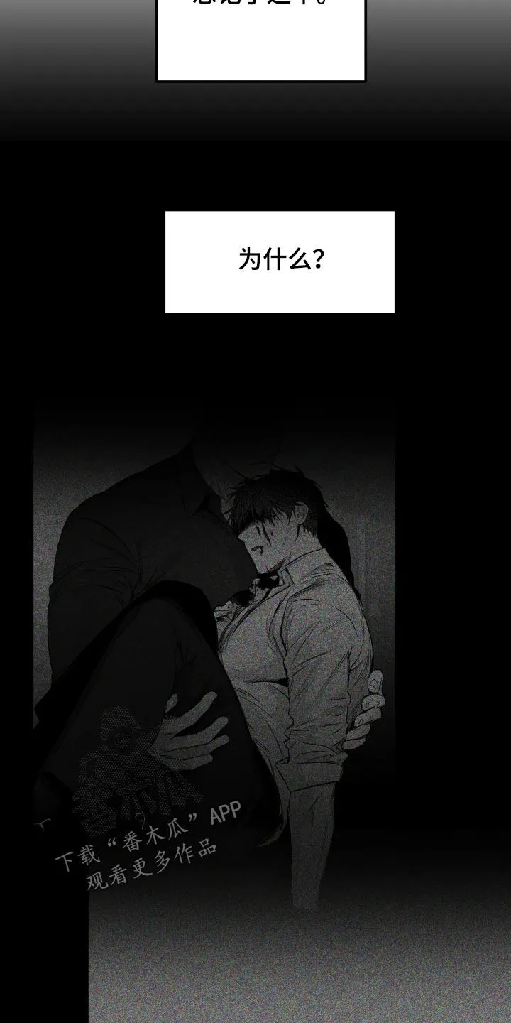 拳击手漫画卡西姆漫画,第253章：【第三季】习惯24图