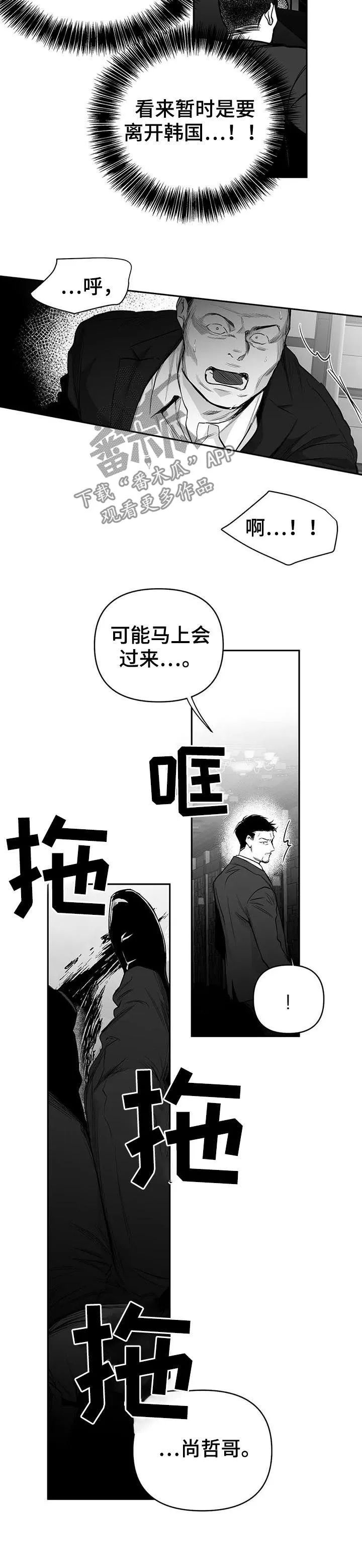拳击手漫画图片漫画,第87章：我来接你（第一季完结）8图