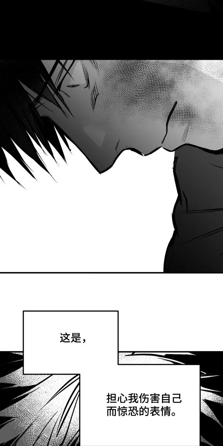 拳击手漫画免费版在线观看漫画,第255章：【第三季】我们聊聊8图