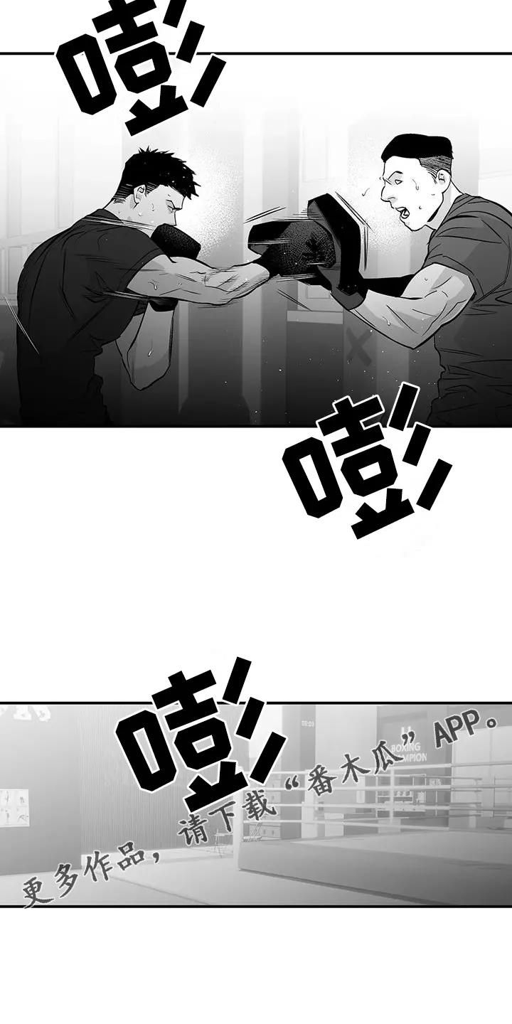 拳击手漫画头像漫画,第223章：【第三季】陪练26图