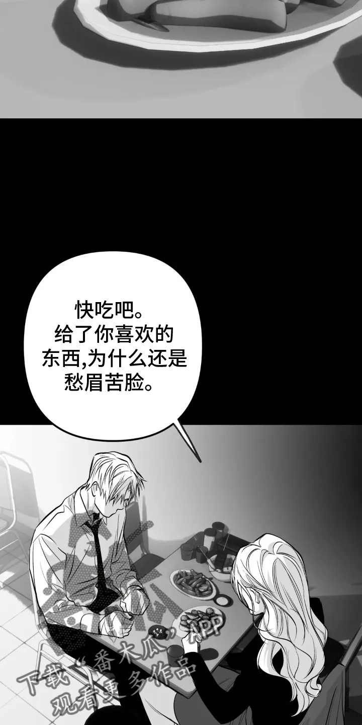 拳击手漫画漫画,第241章：【第三季】和解12图