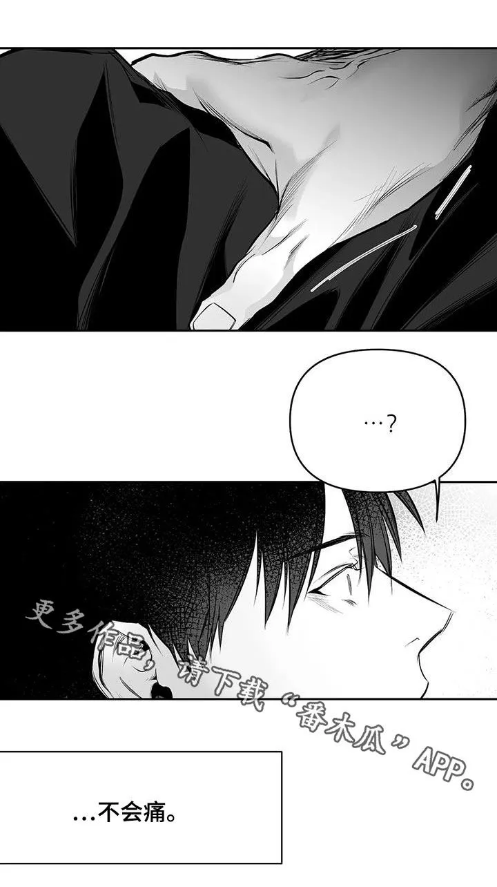拳击手漫画免费jh漫画,第163章：【第三季】划清界限23图