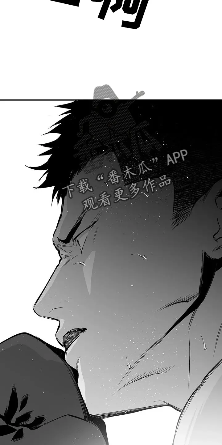 拳击手 漫画漫画,第226章：【第三季】比赛26图