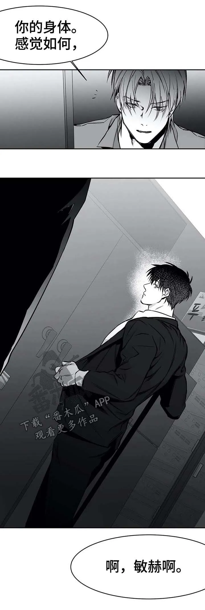 拳击手漫画全集免费阅读下拉式漫画,第63章：那是什么12图