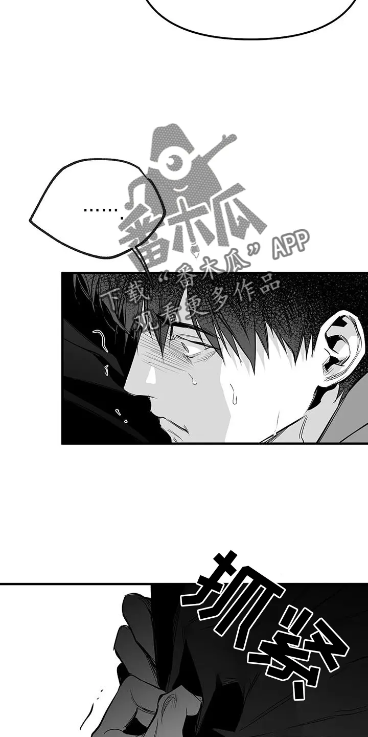 拳击手漫画李施河漫画,第231章：【第三季】恢复12图