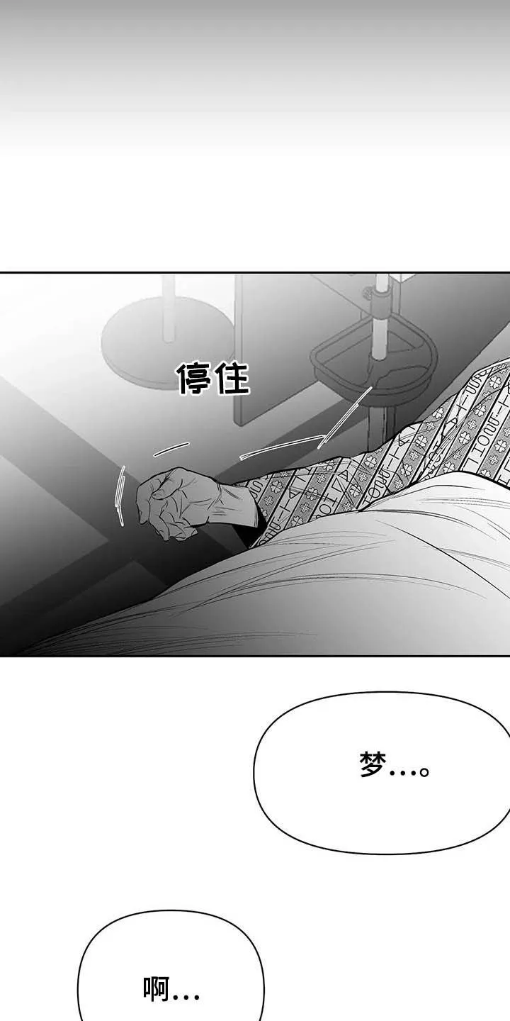 拳击手漫画漫画,第152章：【第三季】你完蛋了28图