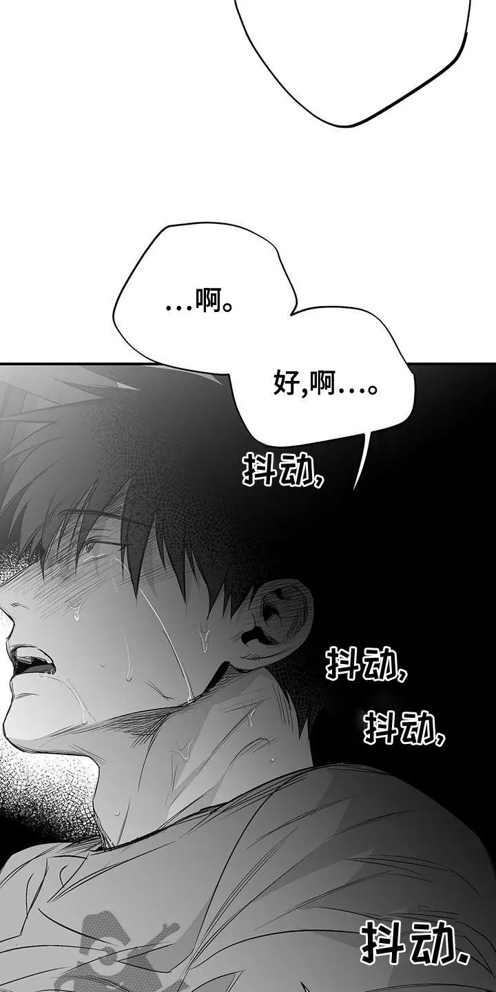 拳击手漫画漫画,第190章：【第三季】开心8图