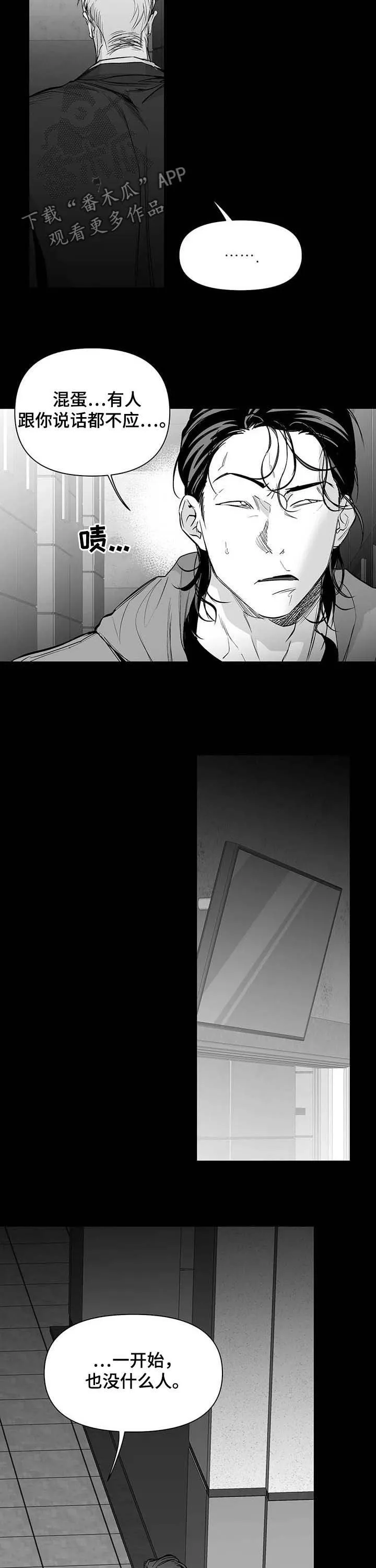 拳击手漫画图片漫画,第141章：【第二季】搞笑5图