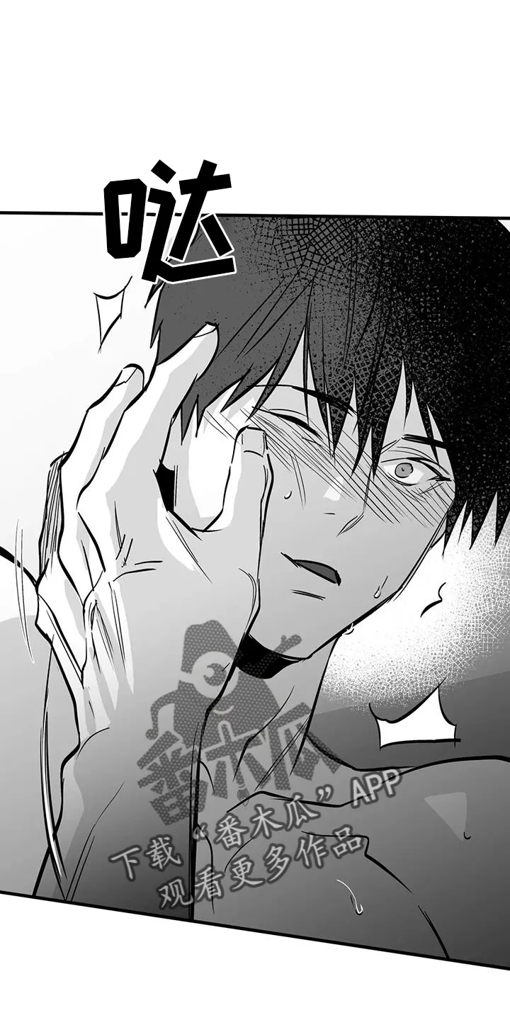 拳击手漫画漫画,第235章：【第三季】别动6图