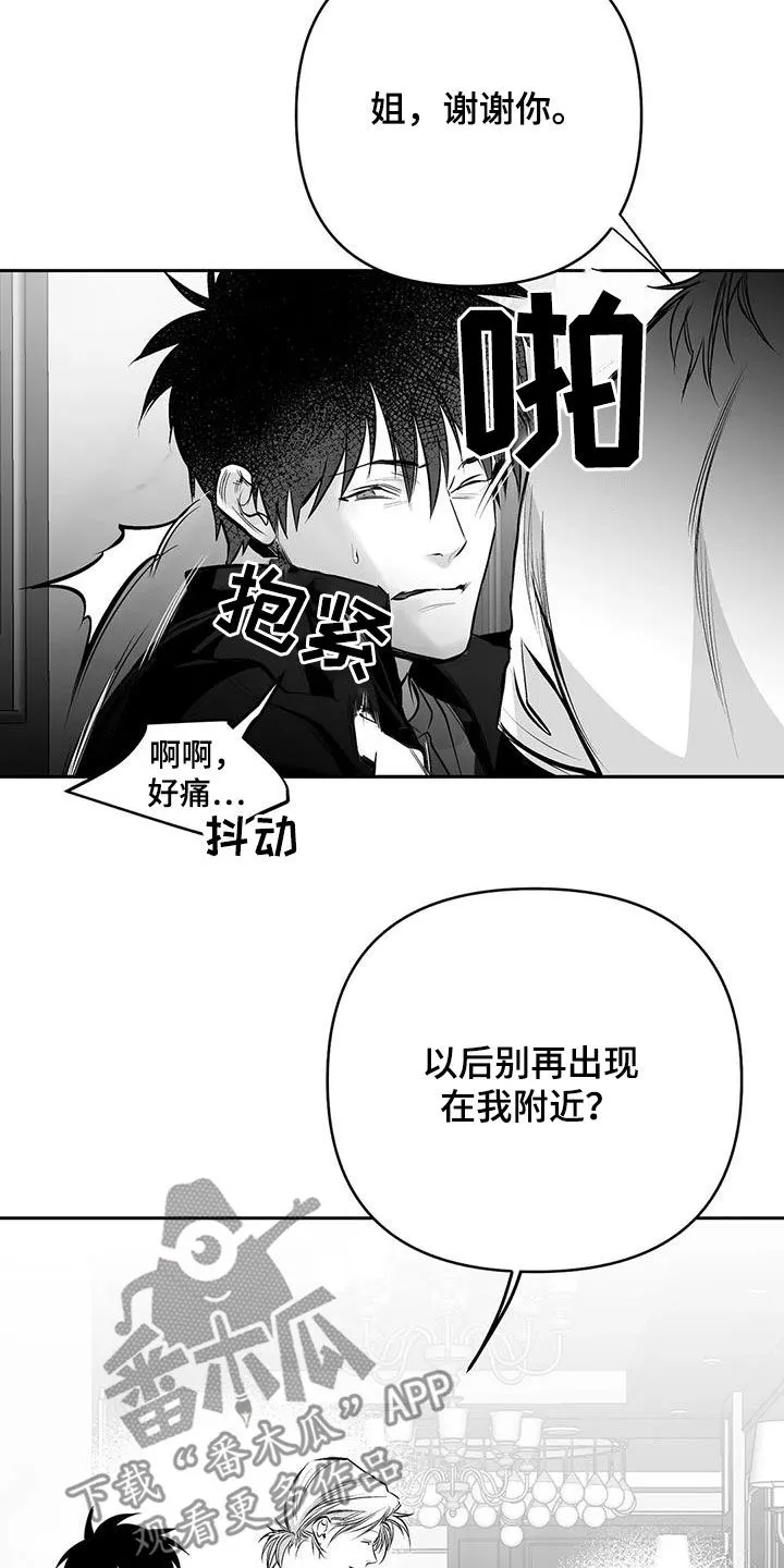 拳击手漫画免费jh漫画,第163章：【第三季】划清界限14图