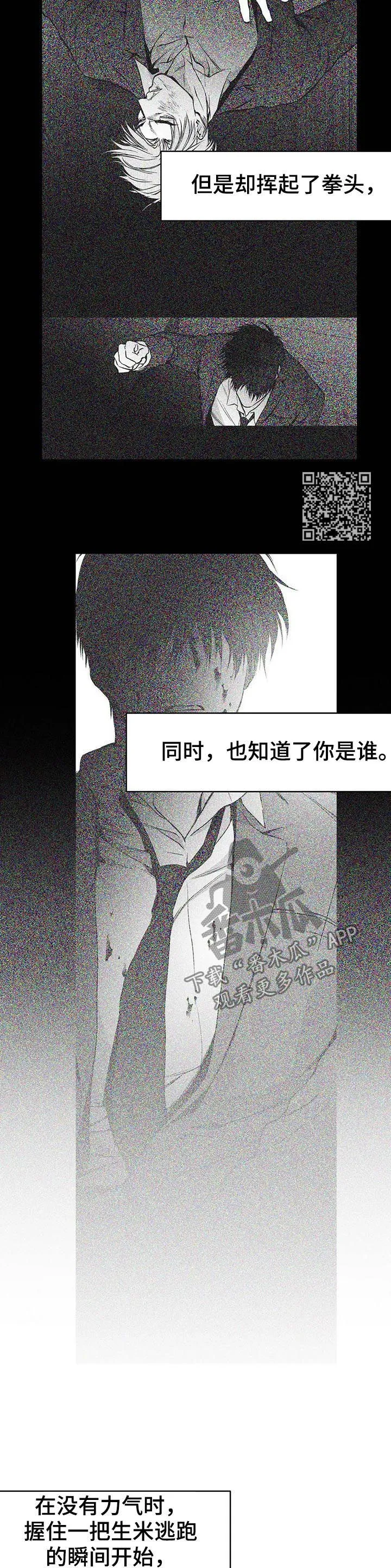拳击手漫画免费阅读漫画,第84章：到底怎么回事8图