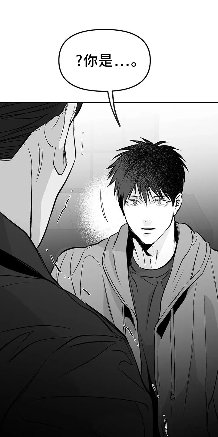 拳击手漫画漫画,第229章：【第三季】质问19图