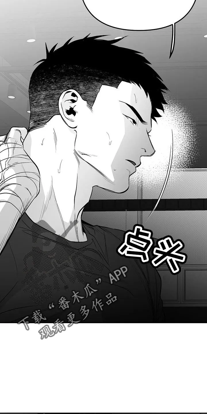 拳击手漫画漫画,第215章：【第三季】不像自己5图