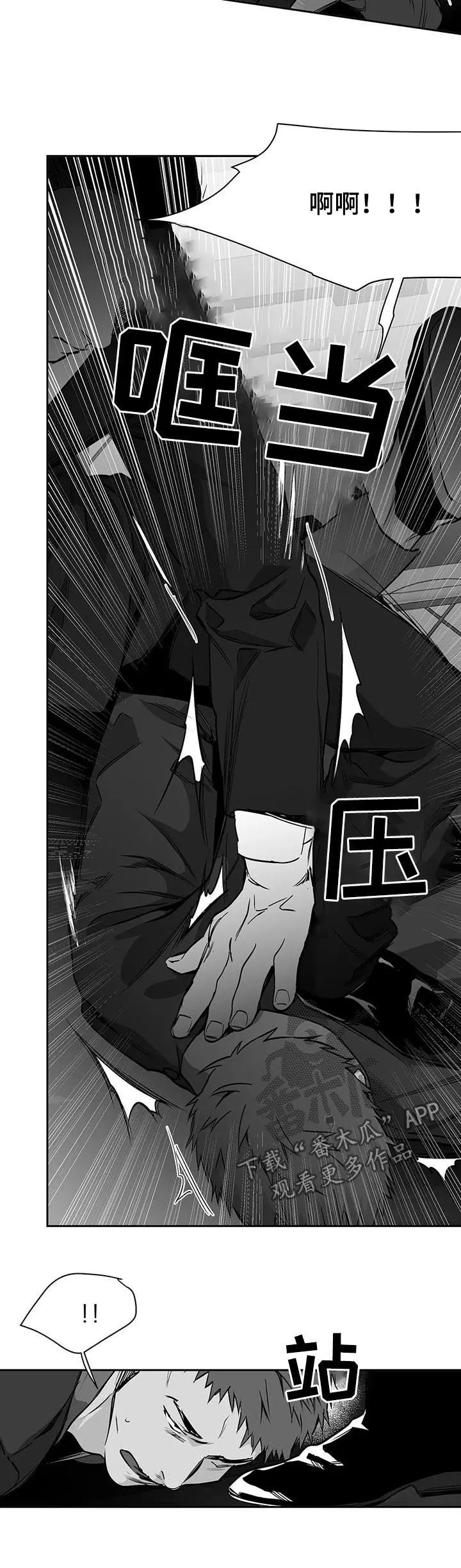 拳击手漫画漫画,第79章：找人9图