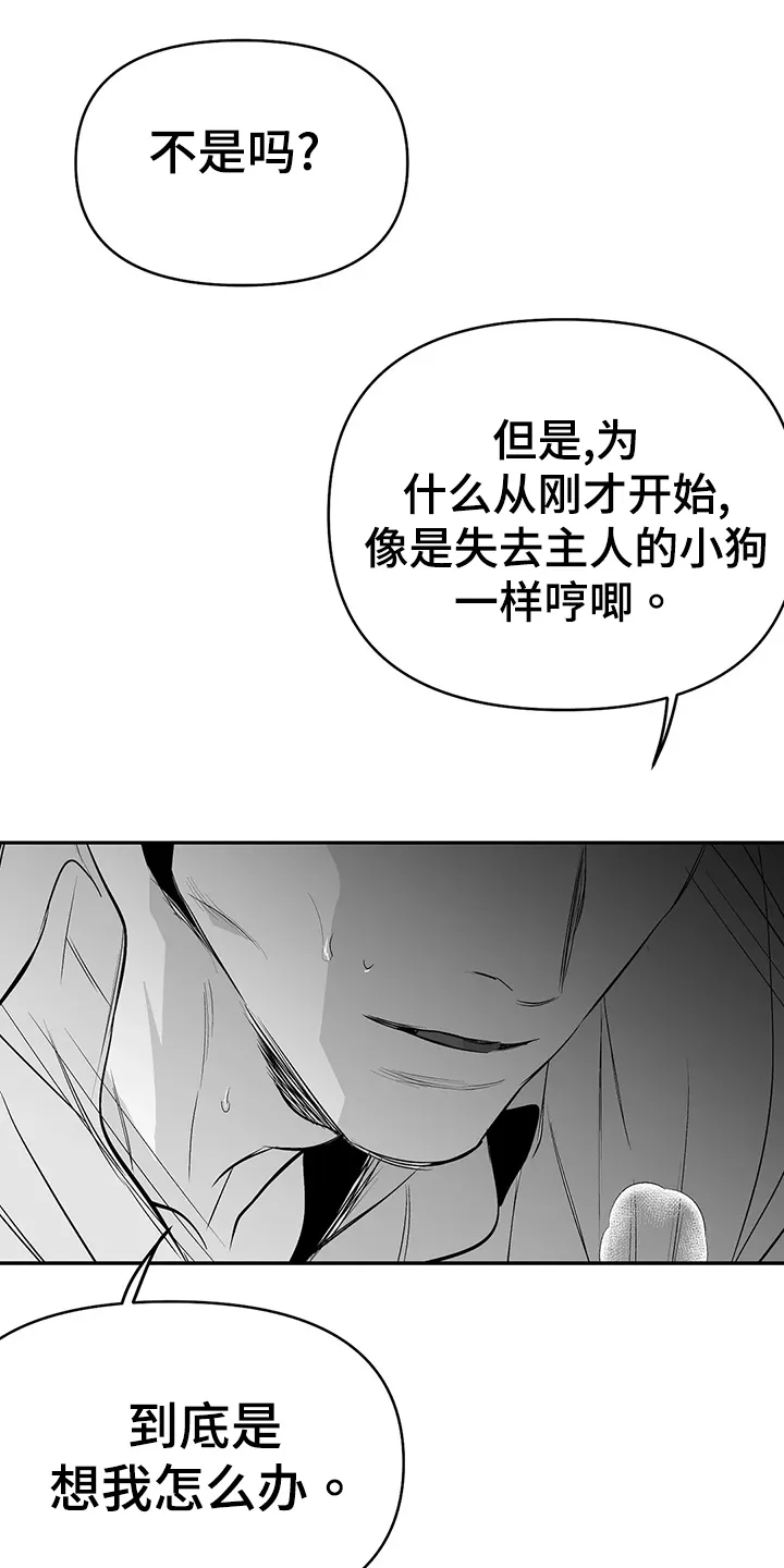 拳击手漫画免费漫画,第188章：【第三季】很开心19图