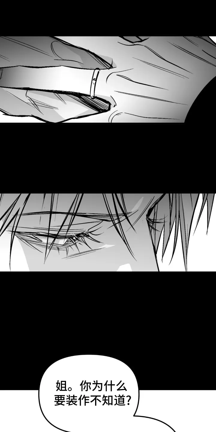 拳击手漫画漫画,第241章：【第三季】和解15图