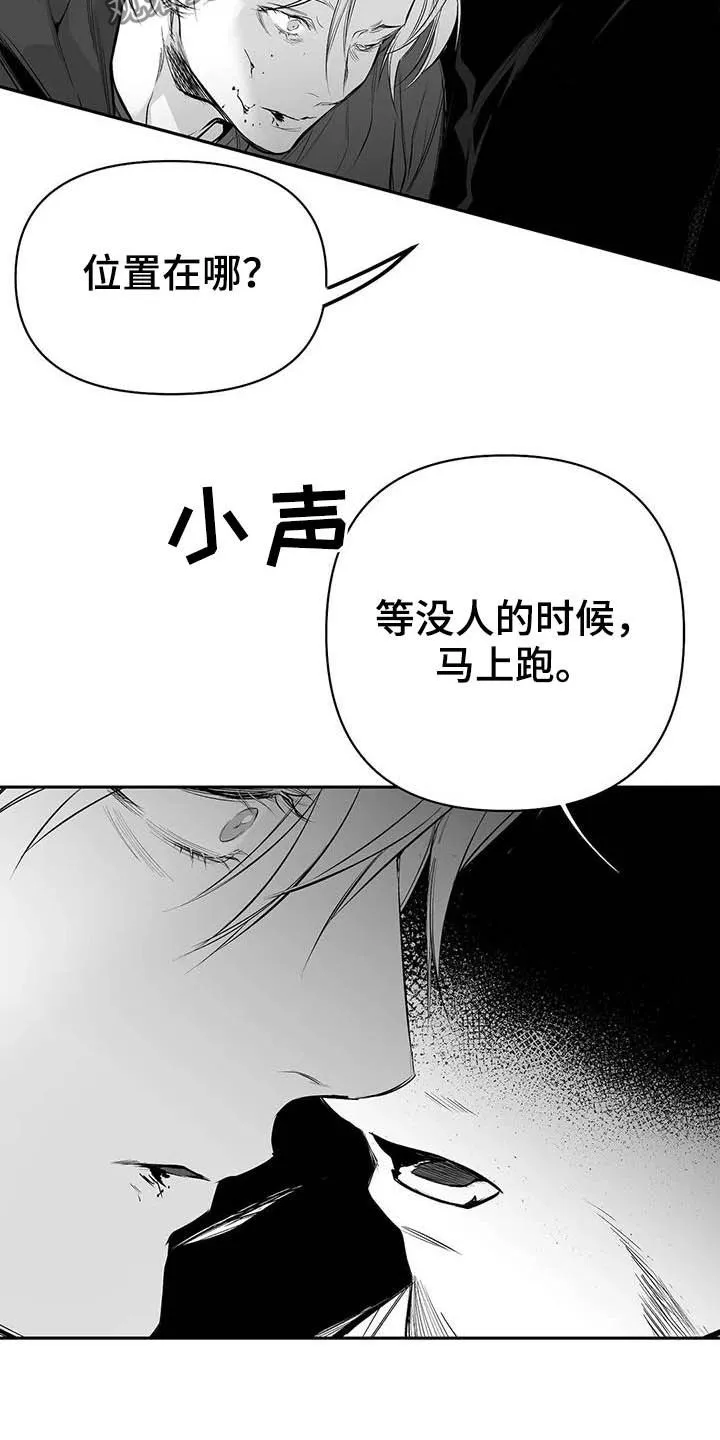 拳击手漫画全集免费阅读下拉式漫画,第148章：【第三季】我可以救你20图