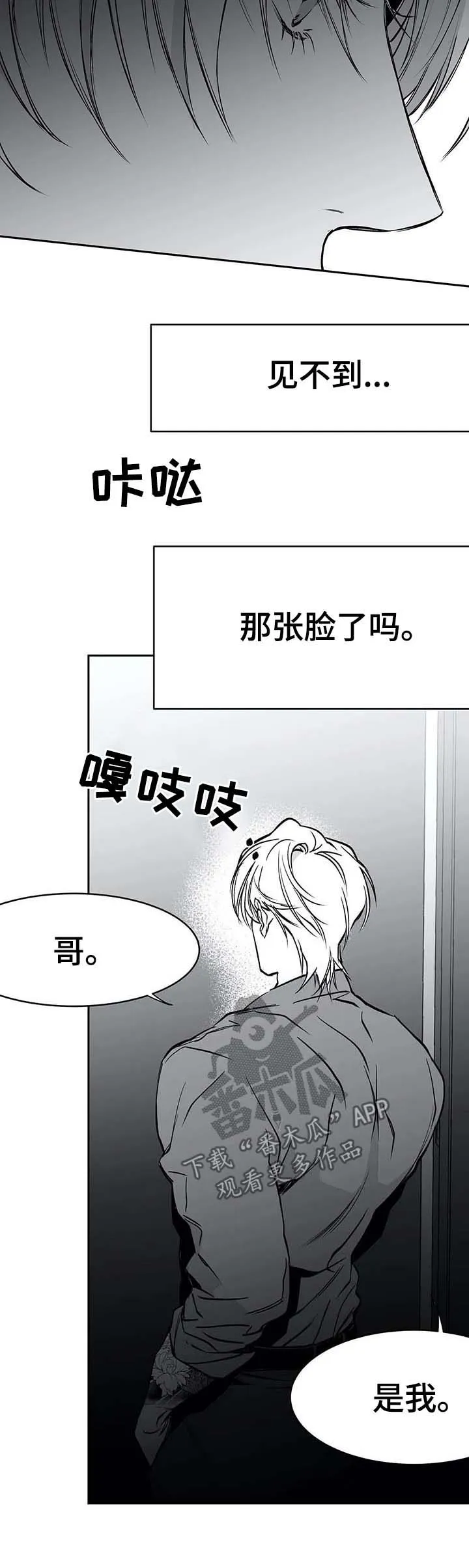 拳击手漫画全集免费阅读下拉式漫画,第63章：那是什么11图