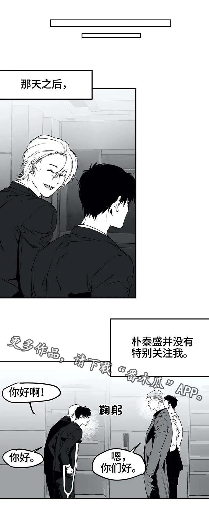 拳击手漫画李施河漫画,第19章：组织3图