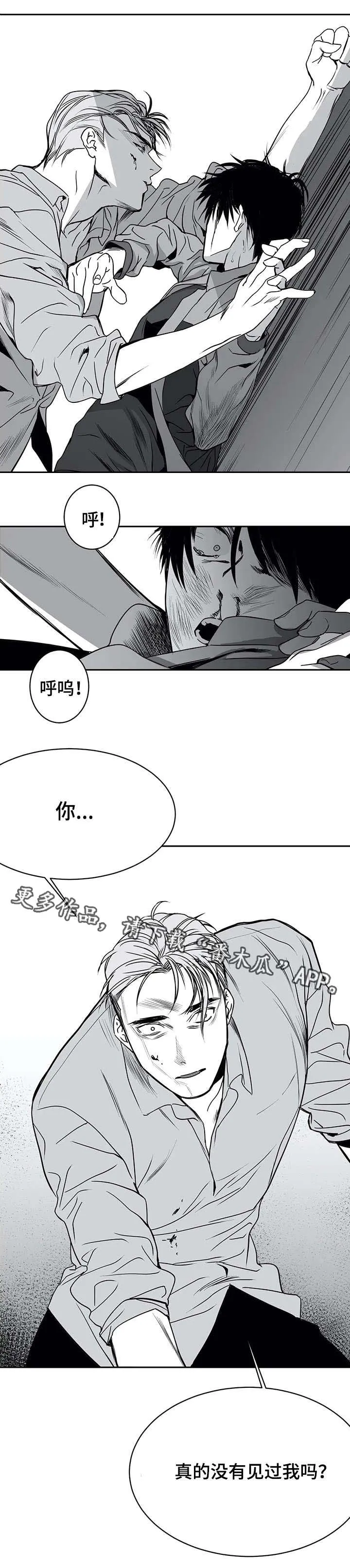 拳击手漫画吧漫画,第7章：面熟11图