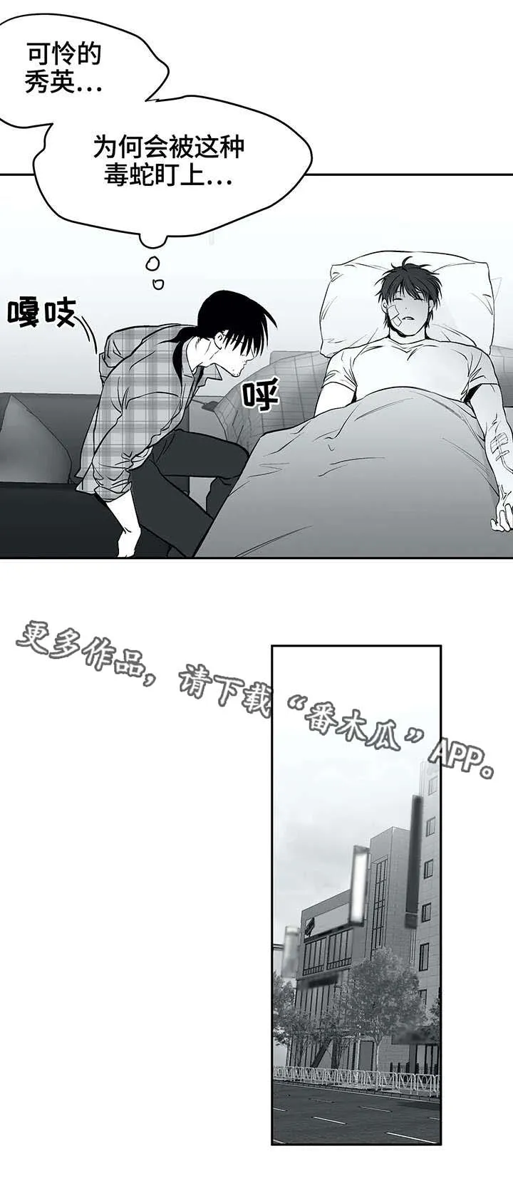 拳击手漫画女主图片漫画,第28章：毒蛇10图