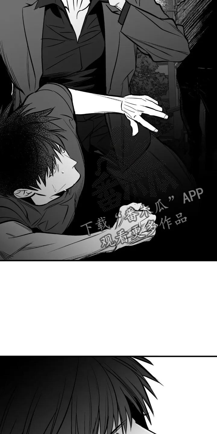 拳击手 漫画漫画,第252章：【第三季】大叔26图