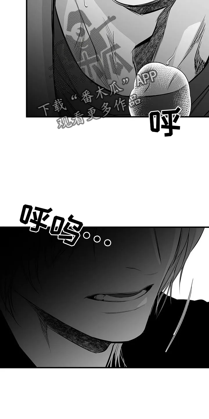 拳击手漫画吧漫画,第232章：【第三季】不要讨厌我6图