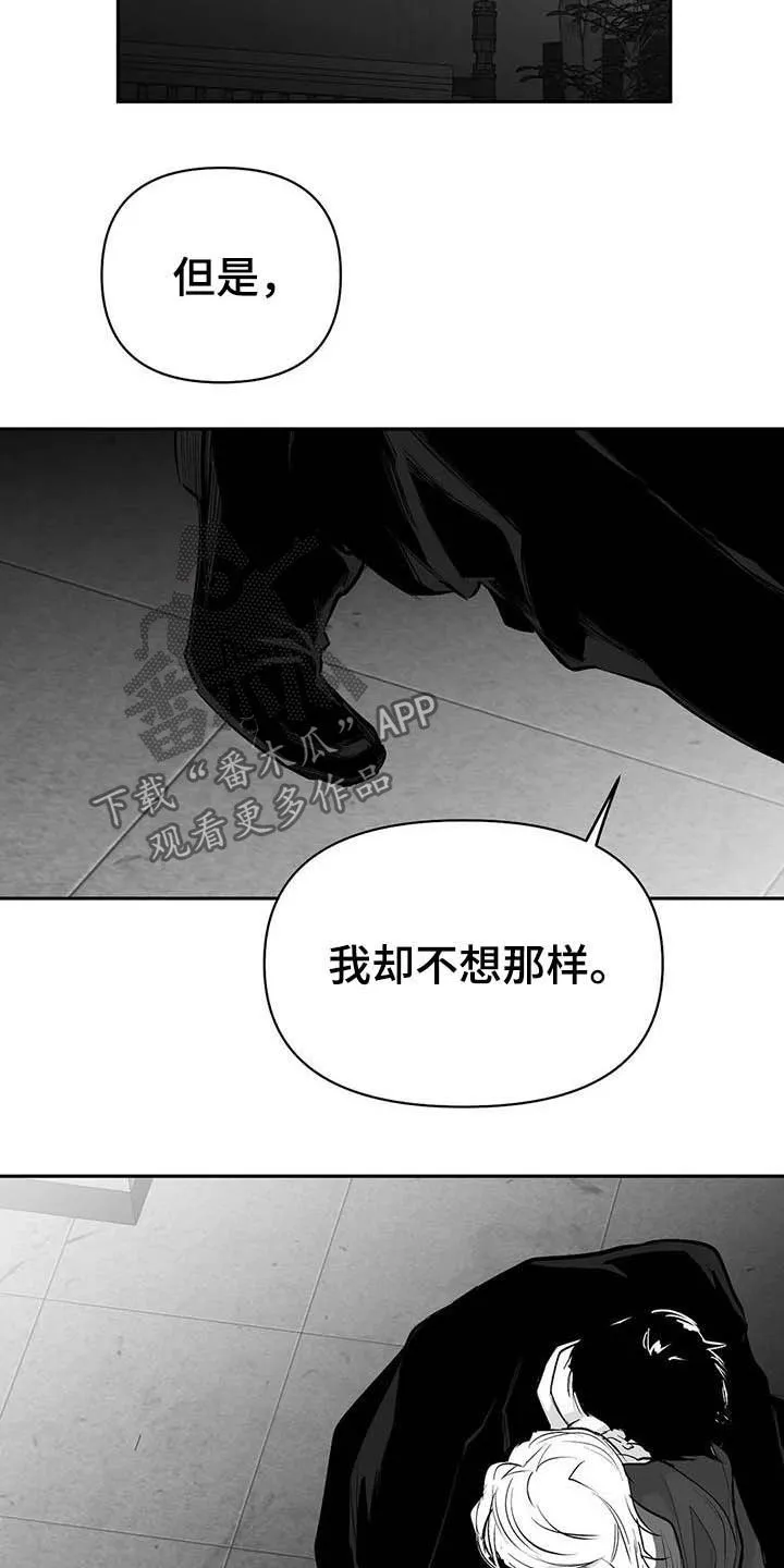 拳击手漫画全集免费阅读下拉式漫画,第148章：【第三季】我可以救你12图