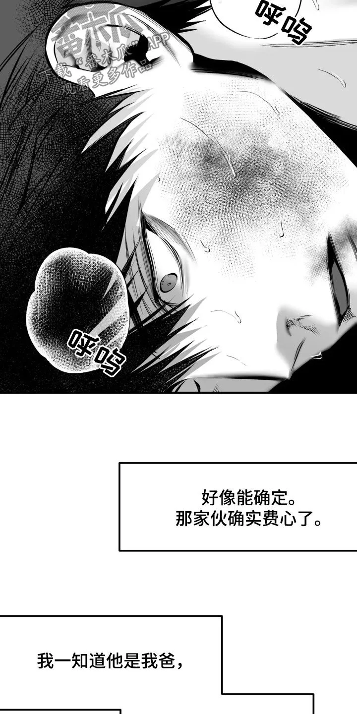 拳击手漫画卡西姆漫画,第253章：【第三季】习惯20图