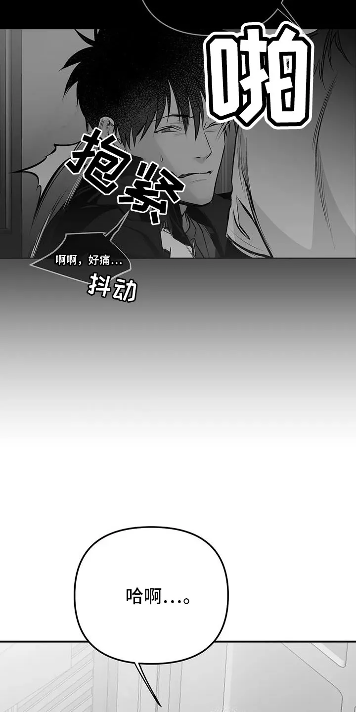 拳击手漫画卡西姆漫画,第212章：【第三季】条件是什么来着18图