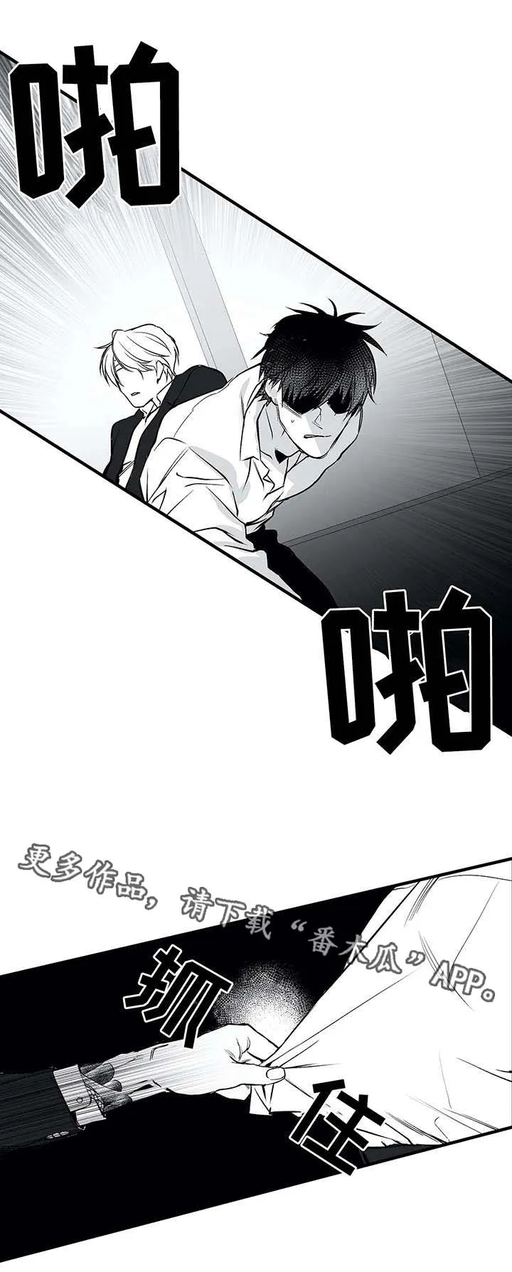 拳击手漫画漫画,第14章：寻仇11图