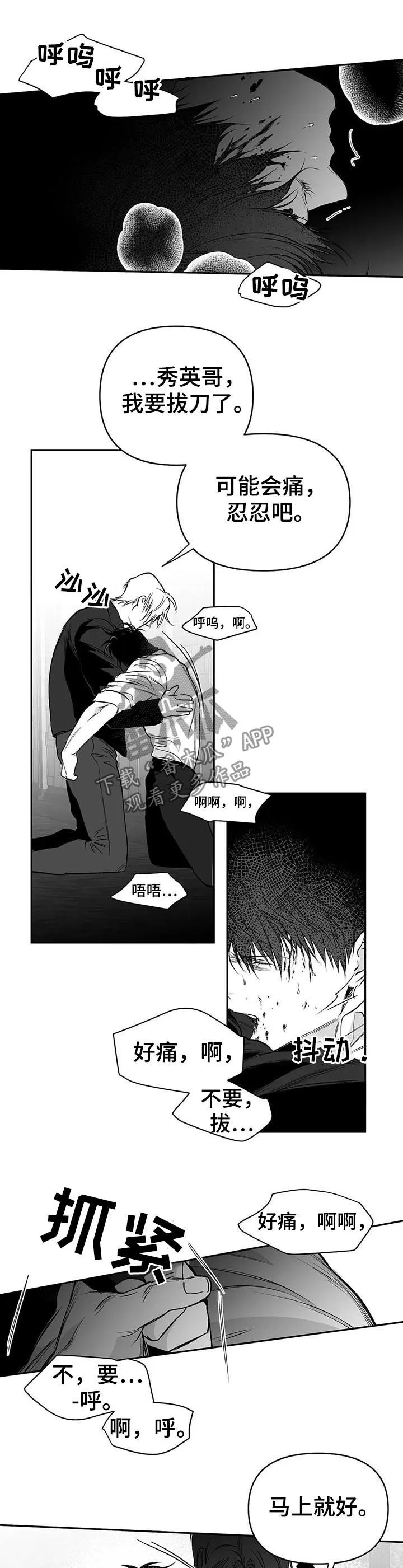 拳击手漫画图片漫画,第87章：我来接你（第一季完结）3图