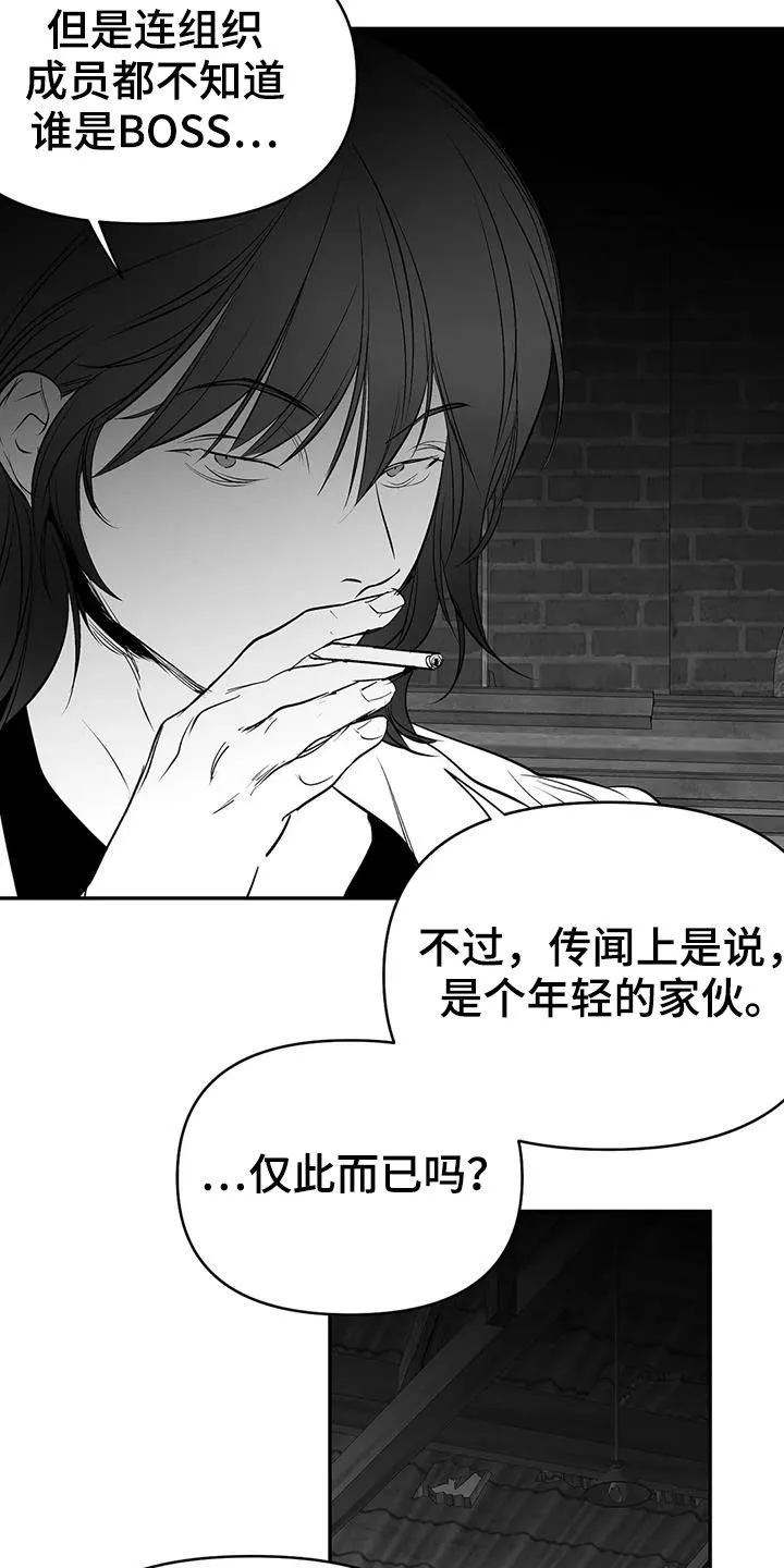 拳击手漫画全集免费阅读下拉式漫画,第183章：【第三季】每天死一个20图