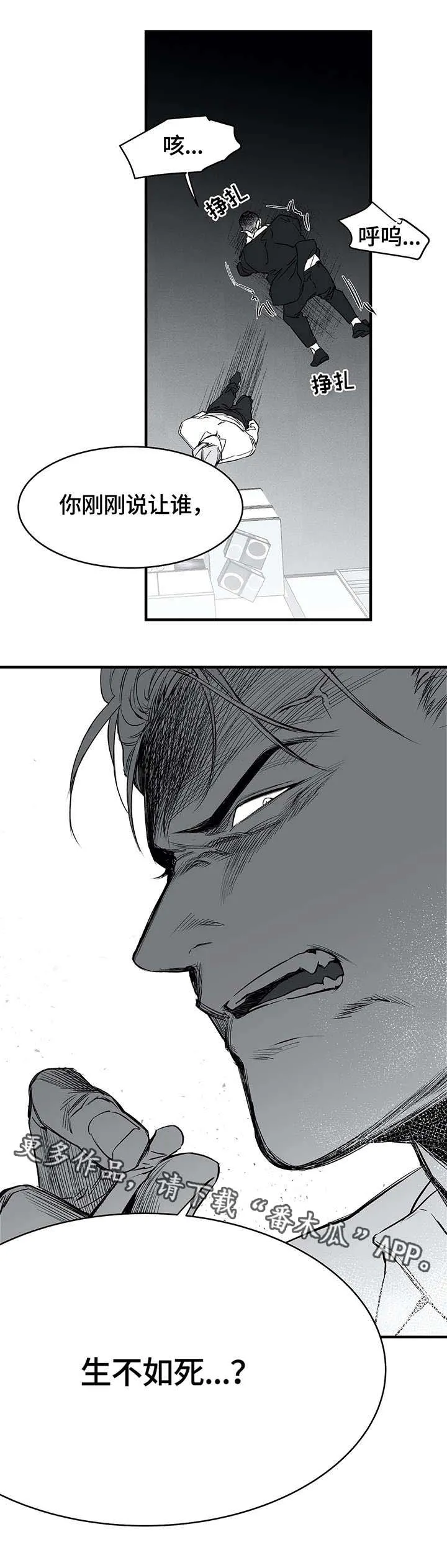 拳击手漫画全集免费阅读下拉式漫画,第15章：杀人4图